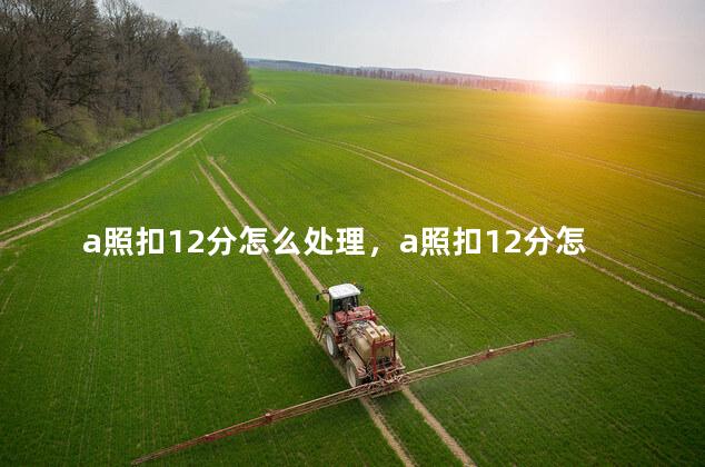 a照扣12分怎么处理，a照扣12分怎么处理 怎么才能不降级